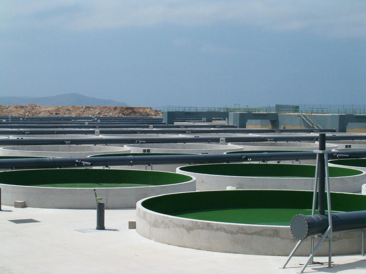 Granja de peces planos de Stolt Sea Farm en Cabo Vilán (Camariñas).