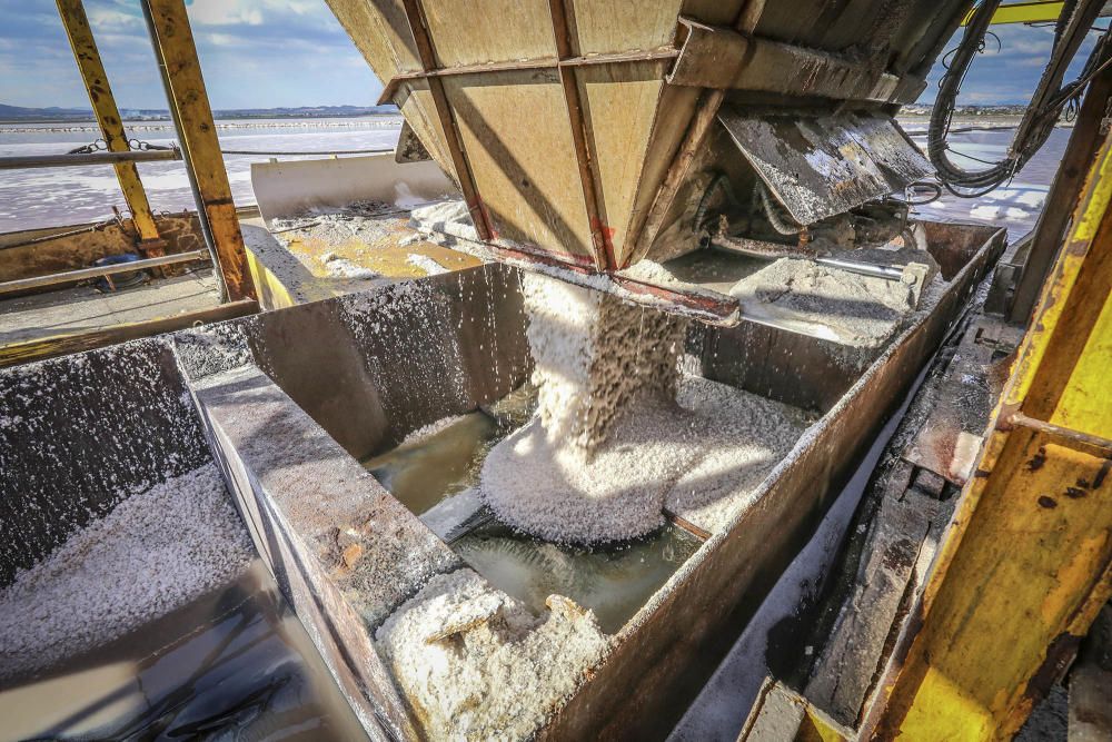 De la laguna de Torrevieja se puede extraer sal durante todo el año haciendo uso de una tecnología minera única