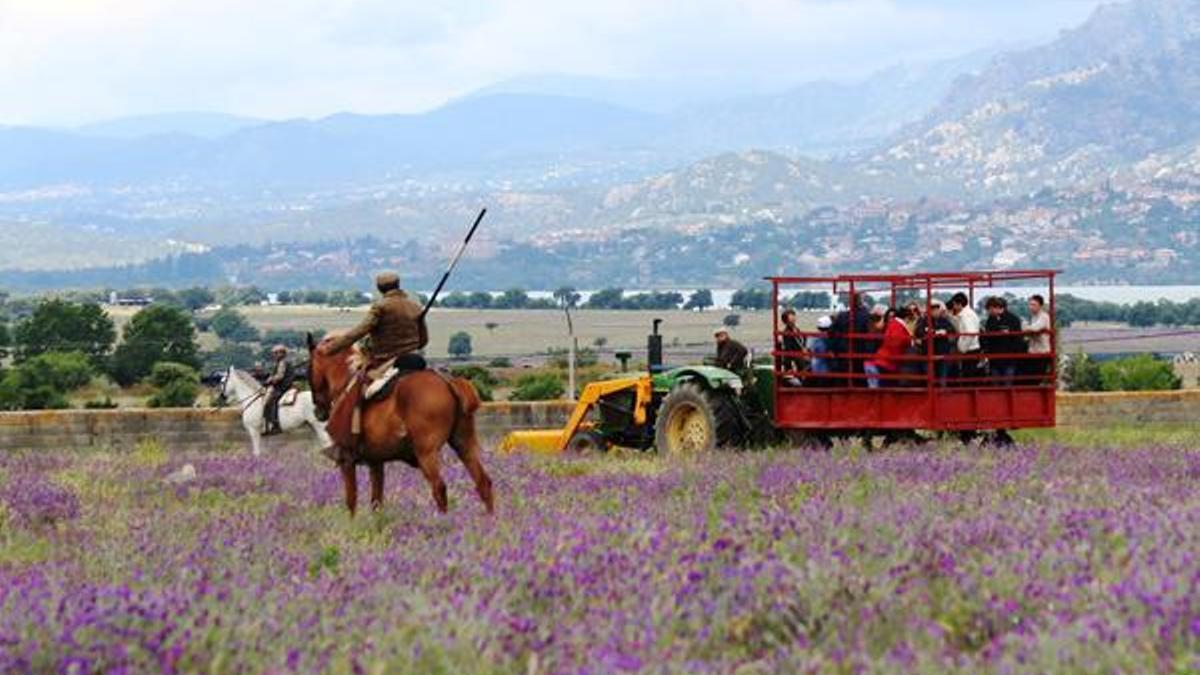Visita guiada en la ganadería Aurelio Hernando, en la Finca La Gamonosa (Soto del Real, Comunidad de Madrid), que participa en Madrid Rutas del Toro