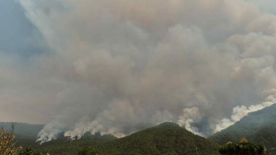 A la izquierda, el humo en la ladera situada enfrente de Aguamansa, unos vecinos trasladando conejos y el espacio de animales del Pabellón Quiquirá; a la derecha, miembros de la Protectora Adepac cuidan de perros en Ravelo. | carsten w. lauritsen | | CARSTEN W. LAURITSEN