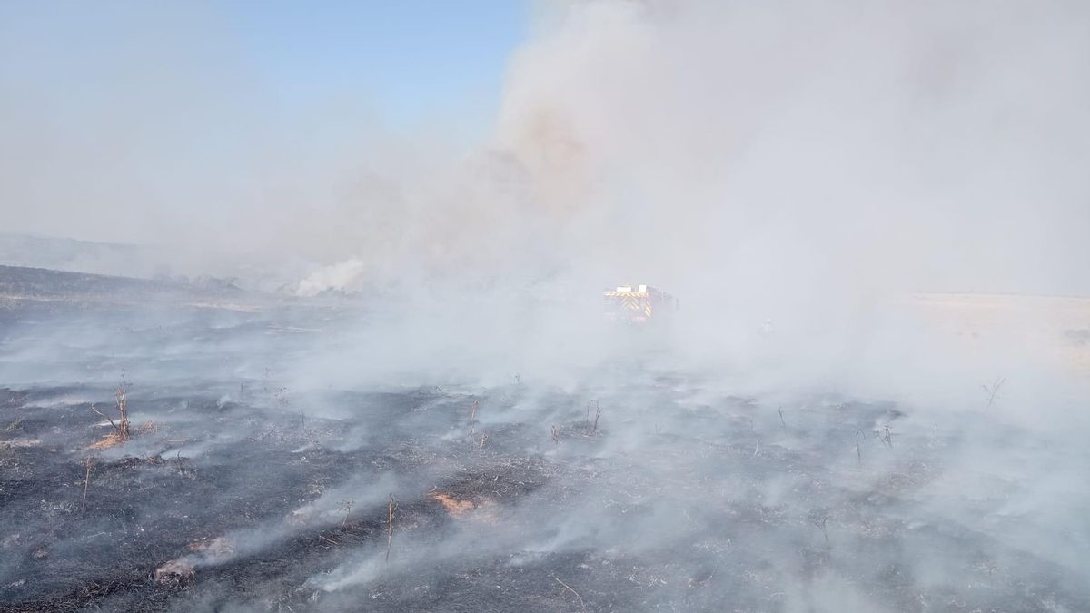 Imagen del incendio de Torrequemada.