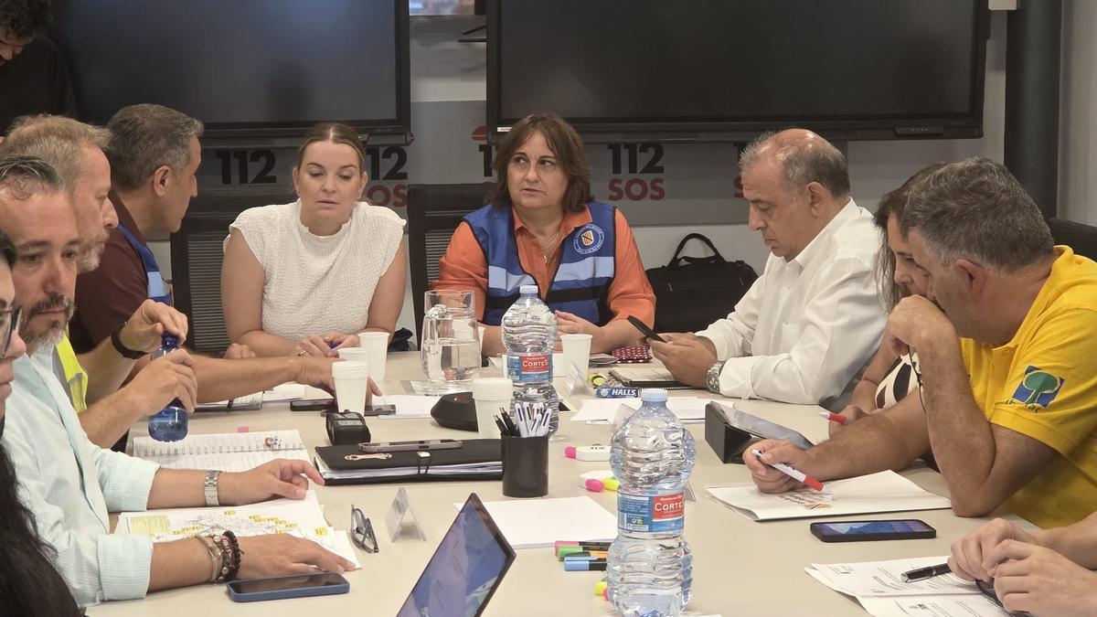 La primera reunión de seguridad la ha presidido Prohens