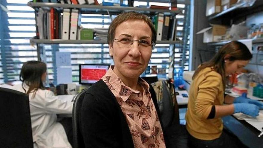 La doctora Pura Muñoz-Cánoves és la coordinadora de l&#039;estudi