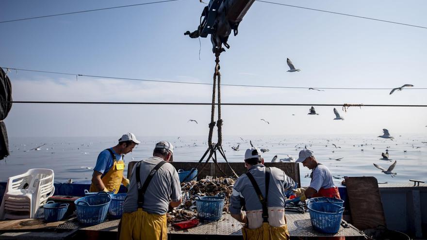 47 puertos españoles ya ‘pescan’ basura plástica para fabricar nuevos productos