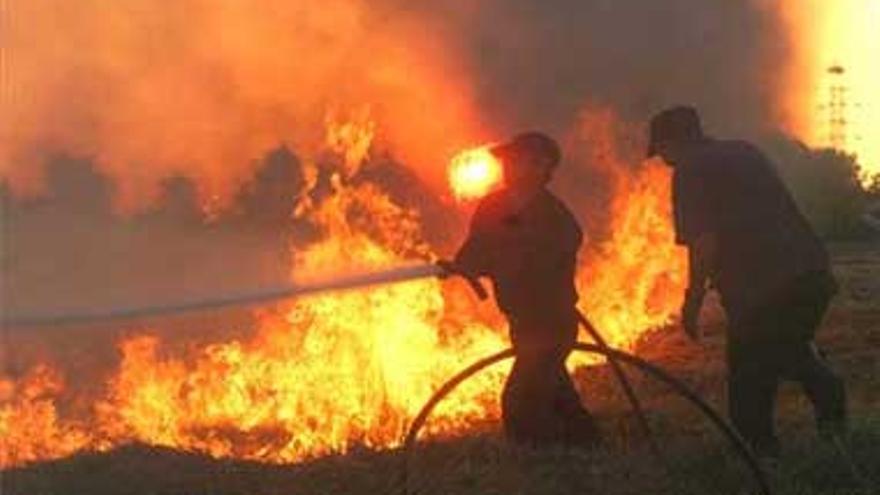 Los bomberos apagan 12 fuegos de vegetación al día de media