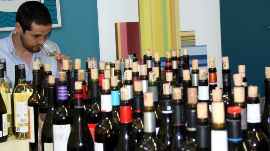 Més de 80 vins de la DO Empordà qualificats d&#039;excel·lents a la Guía Peñín