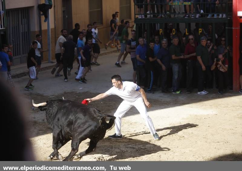 GALERÍA DE FOTOS -- Festejos en honor a Santa Quitèria