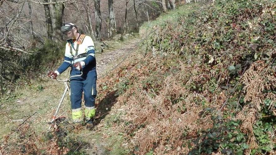 Allande limpia y adecua sus tramos del Camino de Santiago