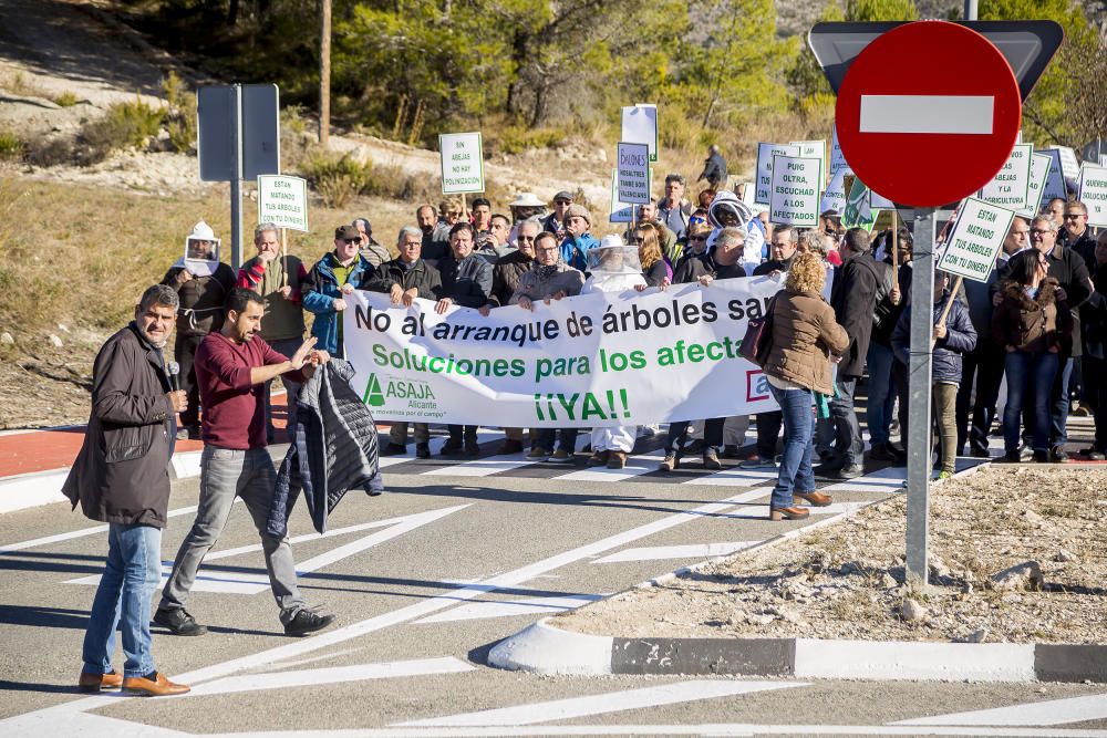 Agricultores de la provincia se manifiestan contra el plan de erradicación de la Xylella del Consell