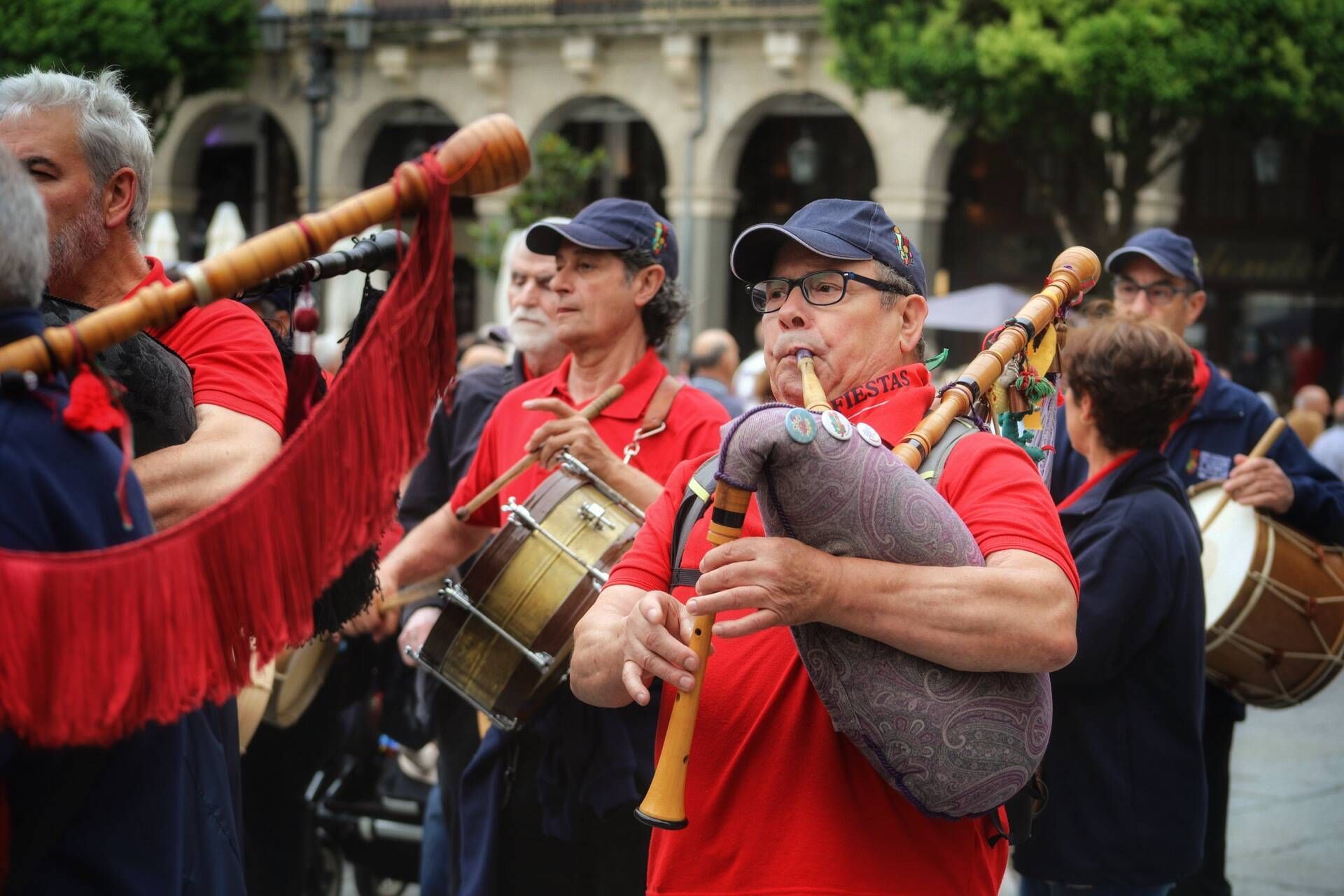 Pasacalles de Gigantes y Cabezudos en las Fiestas de San Pedro de Zamora de 2024