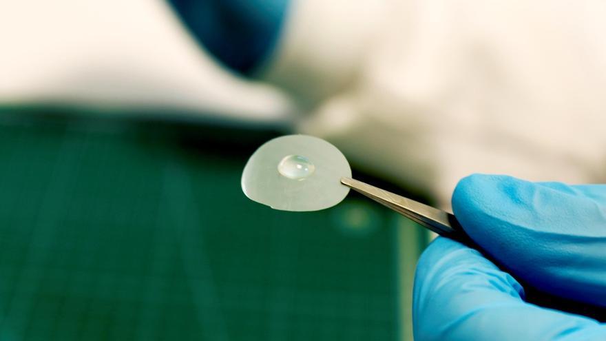 Investigadores de La Mayora desarrollan un bioplástico a partir de celulosa resistente al aceite
