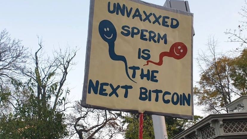 Cartel en el que se puede leer &quot;Unvaxxed sperm is the next bitcoin&quot;, que significa &quot;El esperma del no vacunado es la próxima criptomoneda&quot;.