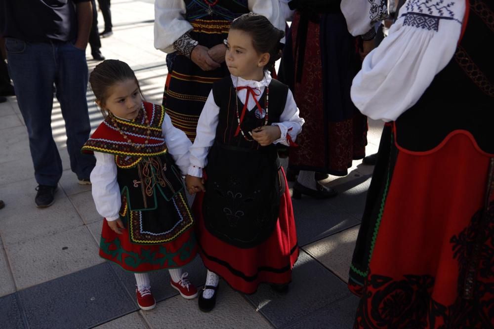 Día de la Provincia