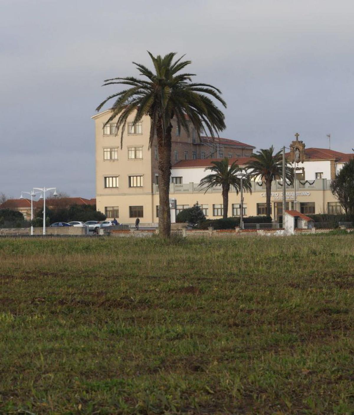 Terrenos de la playa verde.