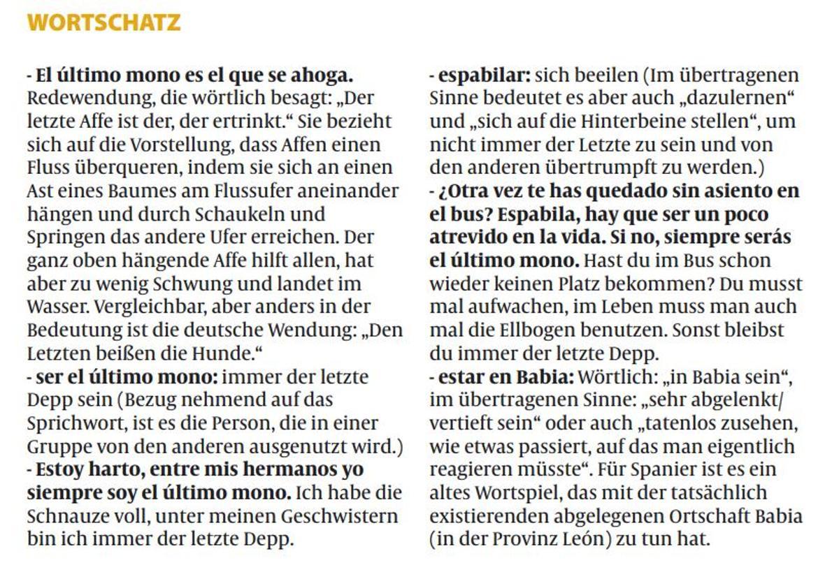 Der Wortschatz zum Thema.