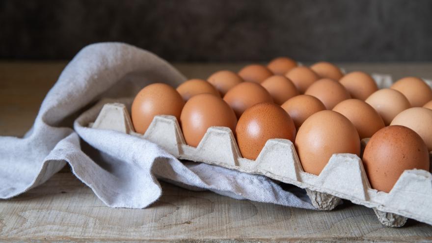 Día Mundial del Huevo: ¿alimenta, adelgaza, dispara el colesterol, es saludable, cuántos puedo comer?