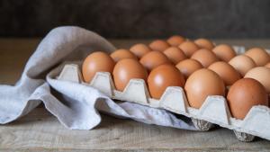 Día Mundial del Huevo: ¿alimenta, adelgaza, dispara el colesterol, es saludable, cuántos puedo comer?