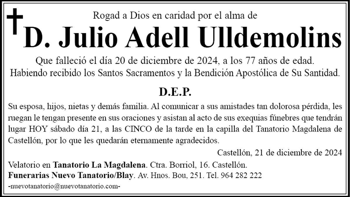 D. Julio Adell Ulldemolins
