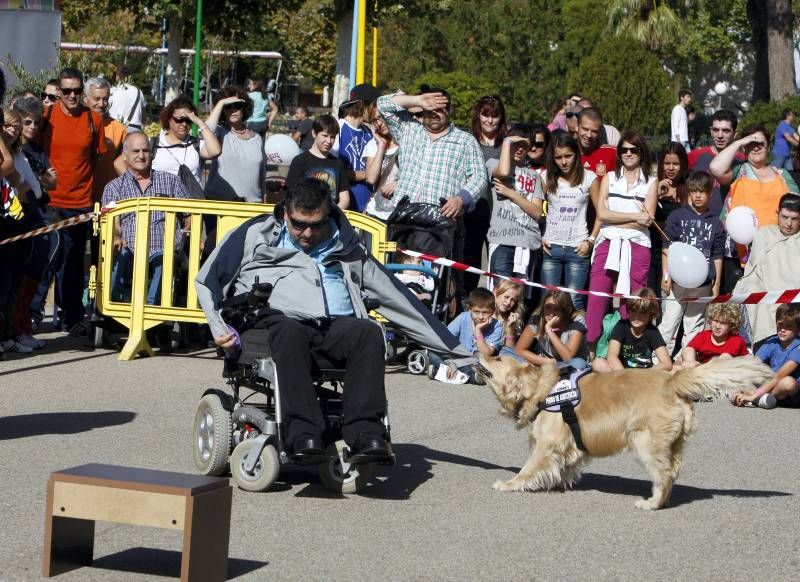 Fotogalería: Fiesta por la integración de la Fundación DFA