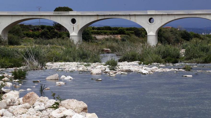 Xúquer Viu reclama retener agua en Bellús para evitar que el Albaida se vuelva a secar en verano