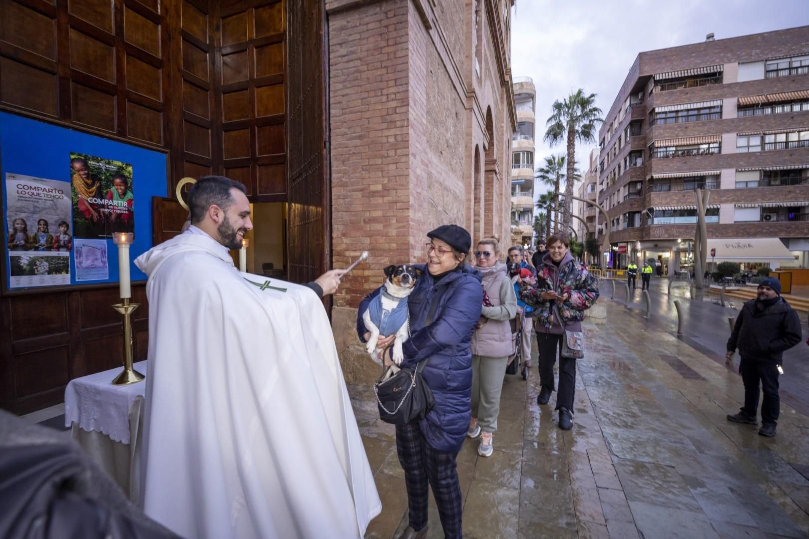 Bendición de animales por San Antón bajo una lluvia invernal en Torrevieja
