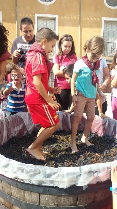 Pequeñas pisadas de la uva en Bullas