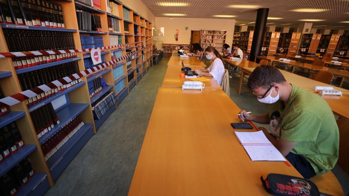 La UMH vuelve a abrir las bibliotecas y prestará 120 portátiles a los estudiantes