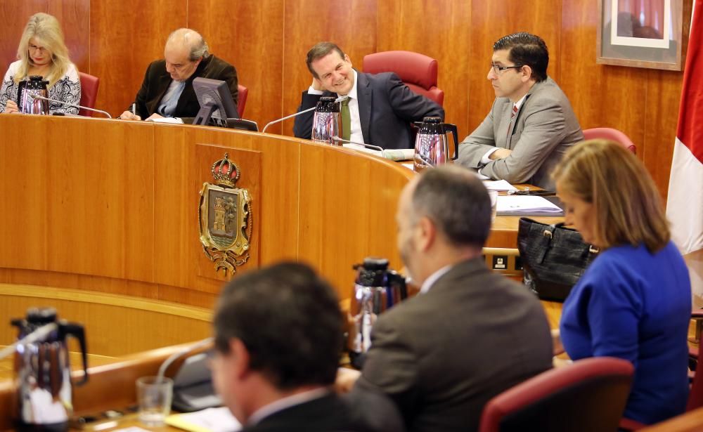 Pleno del Concello de Vigo