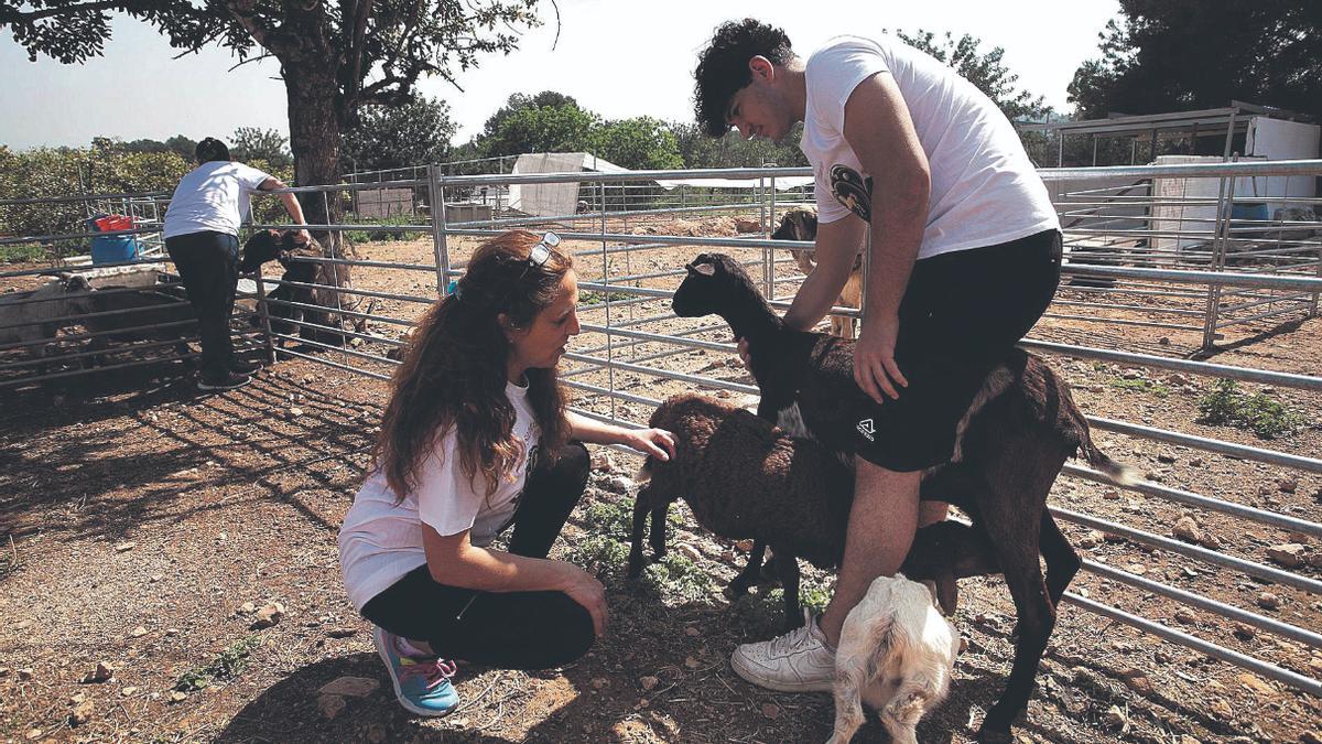 Maite y Martín con ‘Triana’, la cabra que amamanta a dos cabritillos que no son sus crías.