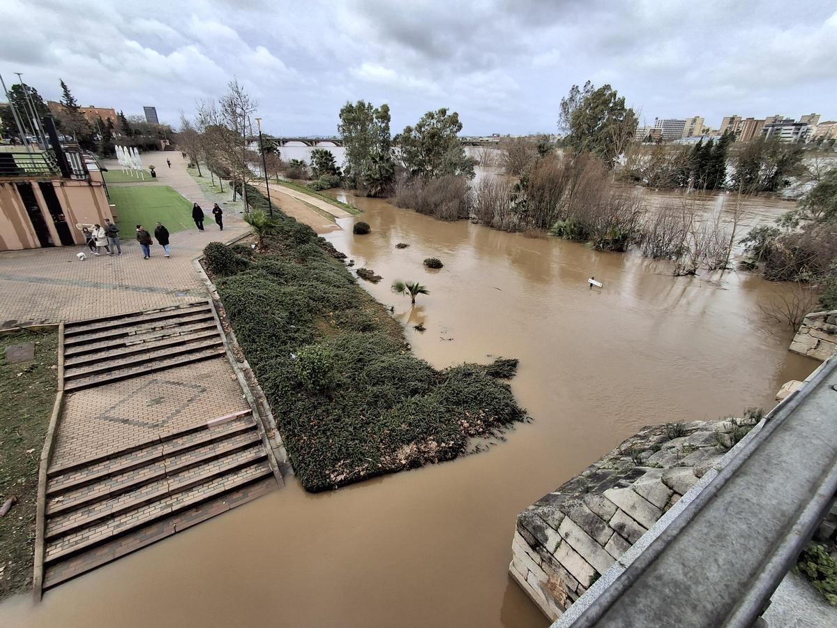 Fotogalería | El buen tiempo devuelve a los pacenses al río