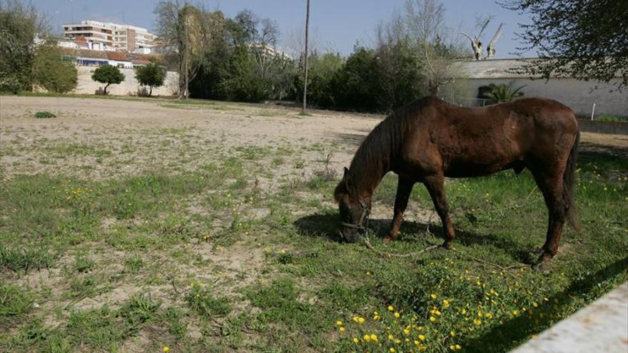 Los vecinos urgen un plan para dar uso a los edificios y solares vacíos