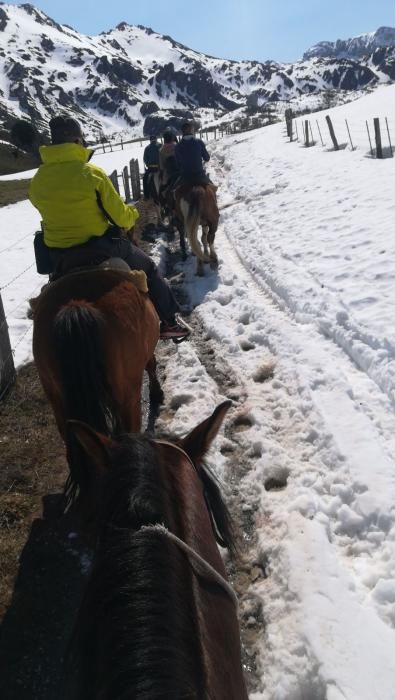 Nieve en La Farrapona