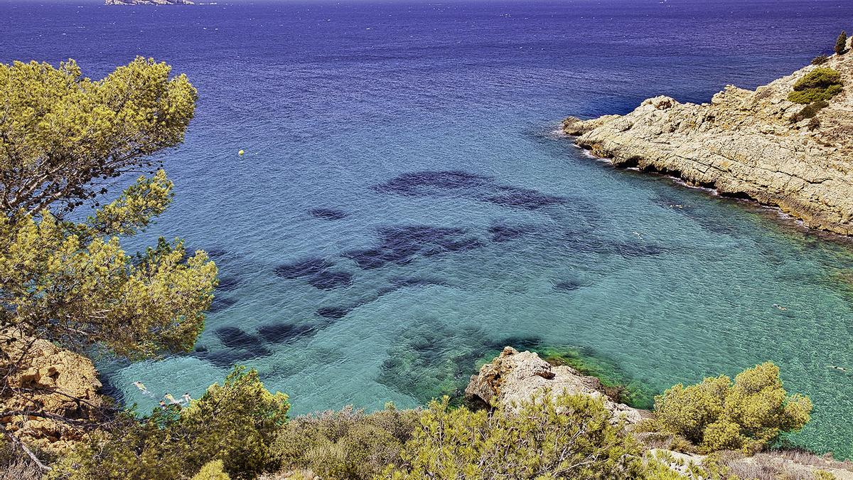 Las de Benidorm son las únicas playas del litoral valenciano con servicios de limpieza y salvamento, biblioplayas y puntos accesibles operativos los 12 meses del calendario.