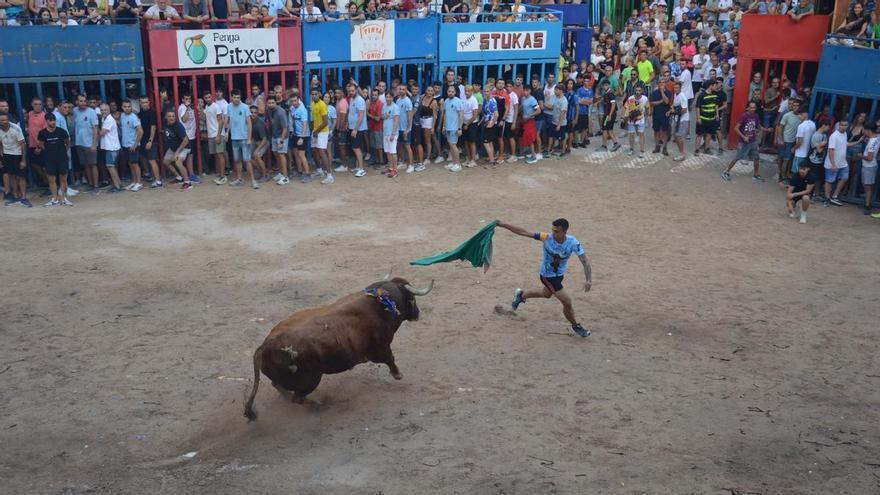 Drei erstklassige Stiere krönen die Stierkampfprogramm der Festlichkeiten von l'Alcora