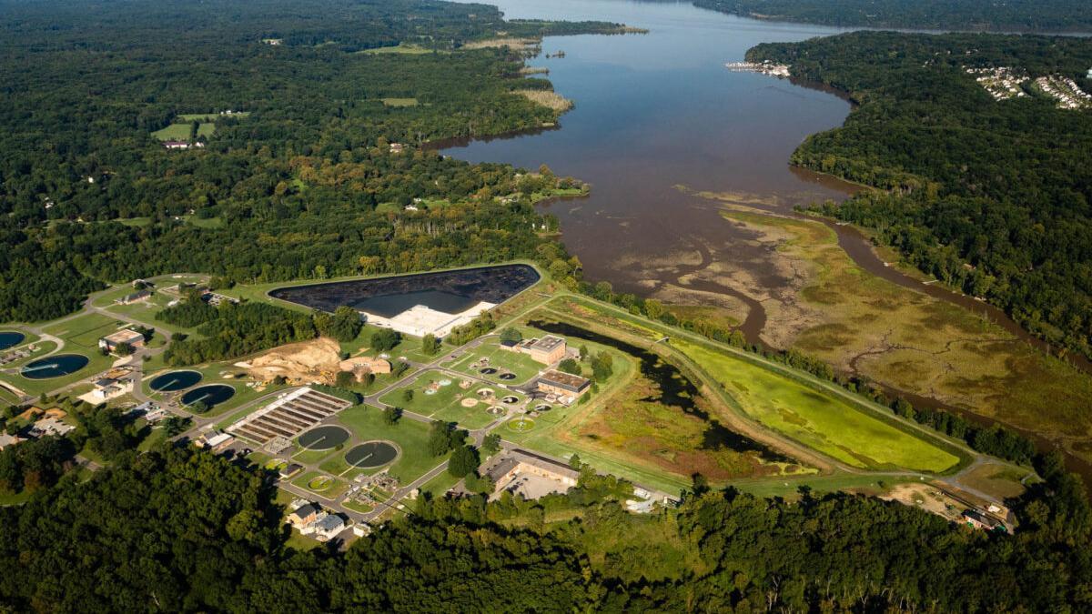 Restaurar la bahía de Chesapeake (EEUU): un imposible que empieza a hacerse realidad