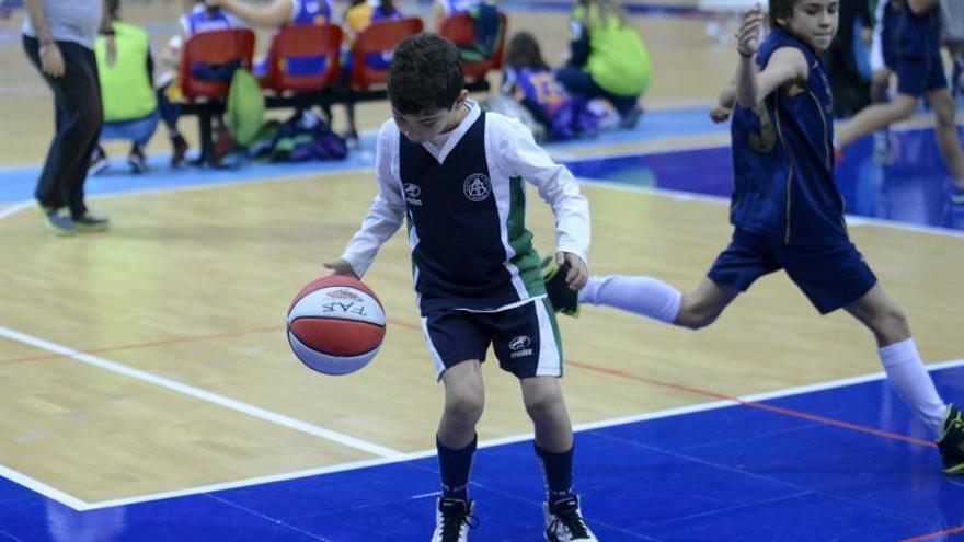 DÍA DEL MINIBASKET. Partidos de las 10:30 horas