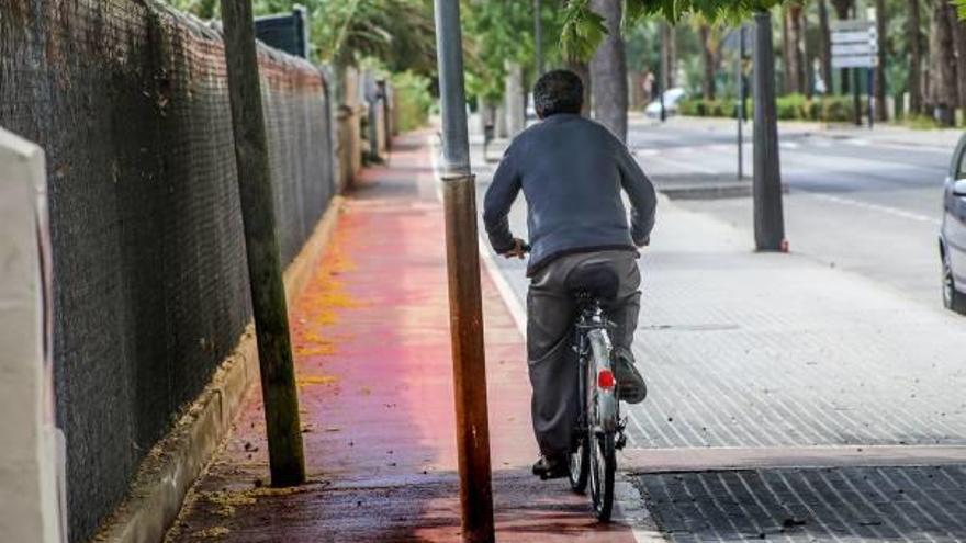 Los cicloturistas deben de estar en alerta para no chocar con farolas, árboles o maleza.