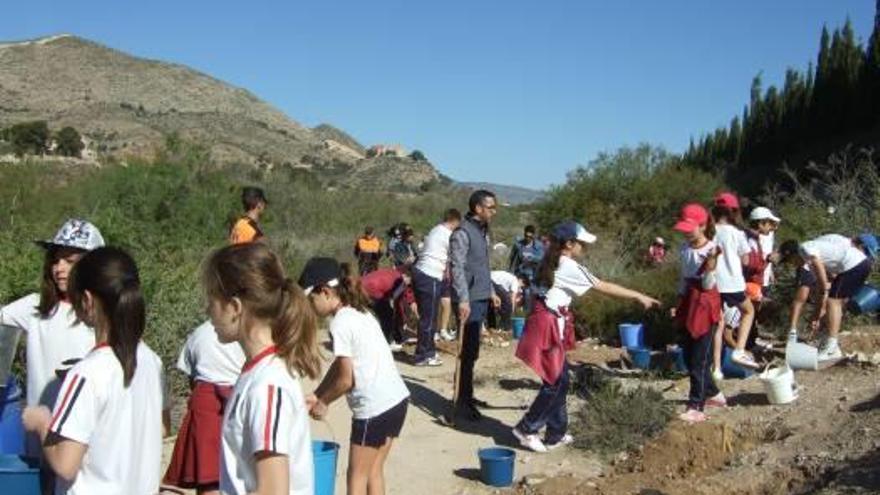 Los escolares de 5º de Primaria de Novelda reforestan el entorno del río Vinalopó