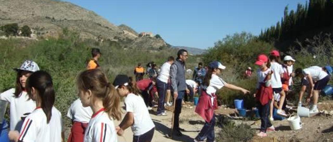 Los escolares de 5º de Primaria de Novelda reforestan el entorno del río Vinalopó