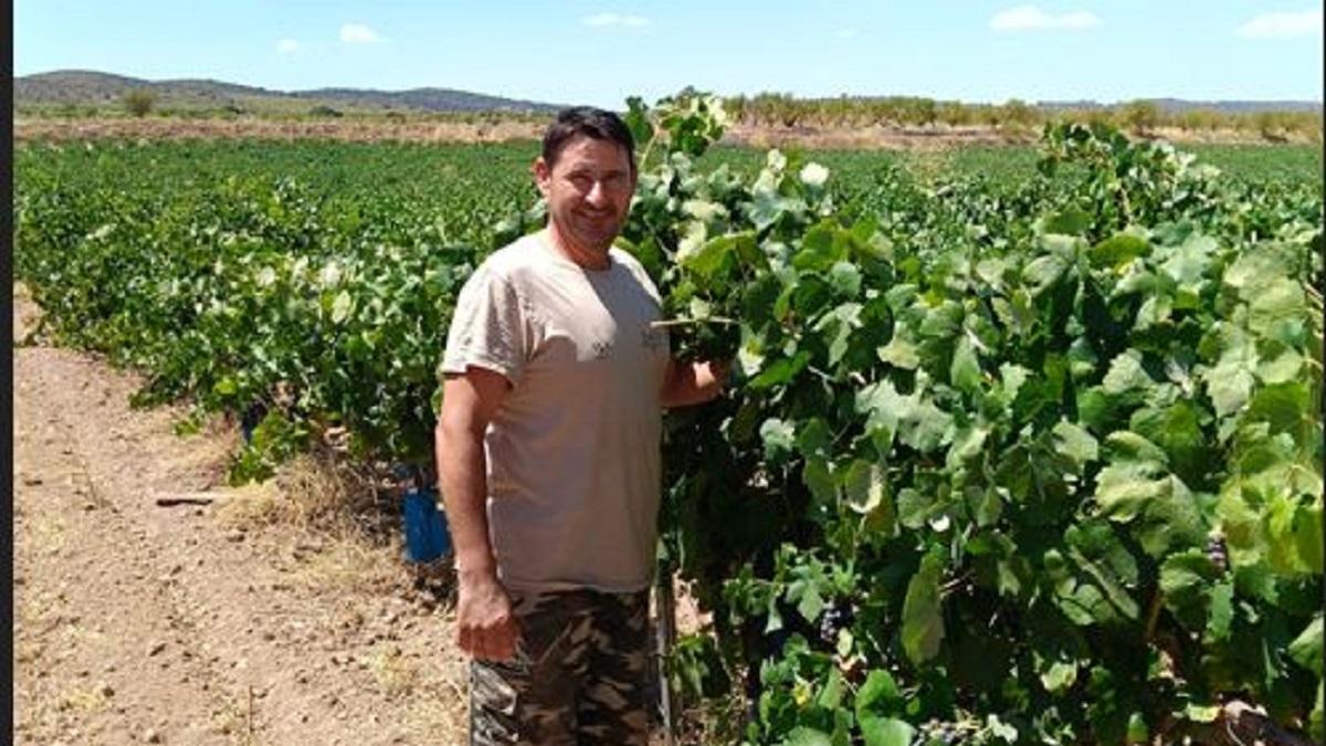 Jacinto Murciano, en su explotación de Camprrobles, en una imagen del pasado viernes.
