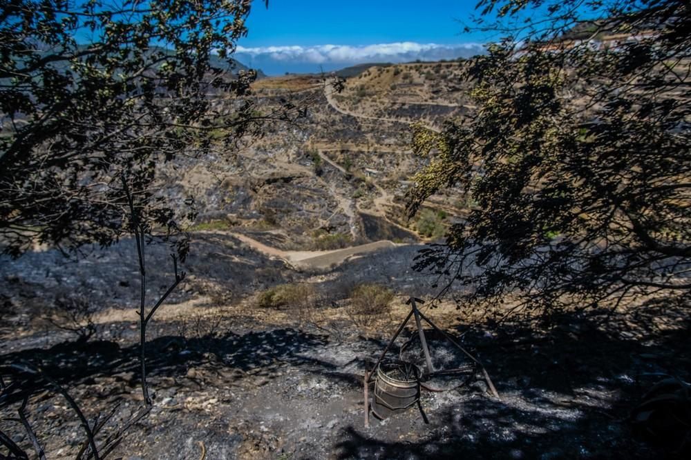 Incendio en Gran Canaria | Zonas afectadas en las medianías de Gáldar y en Artenara