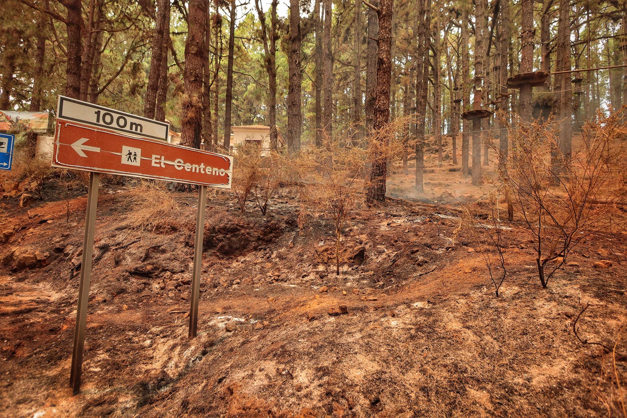 Evolución del incendio en Tenerife