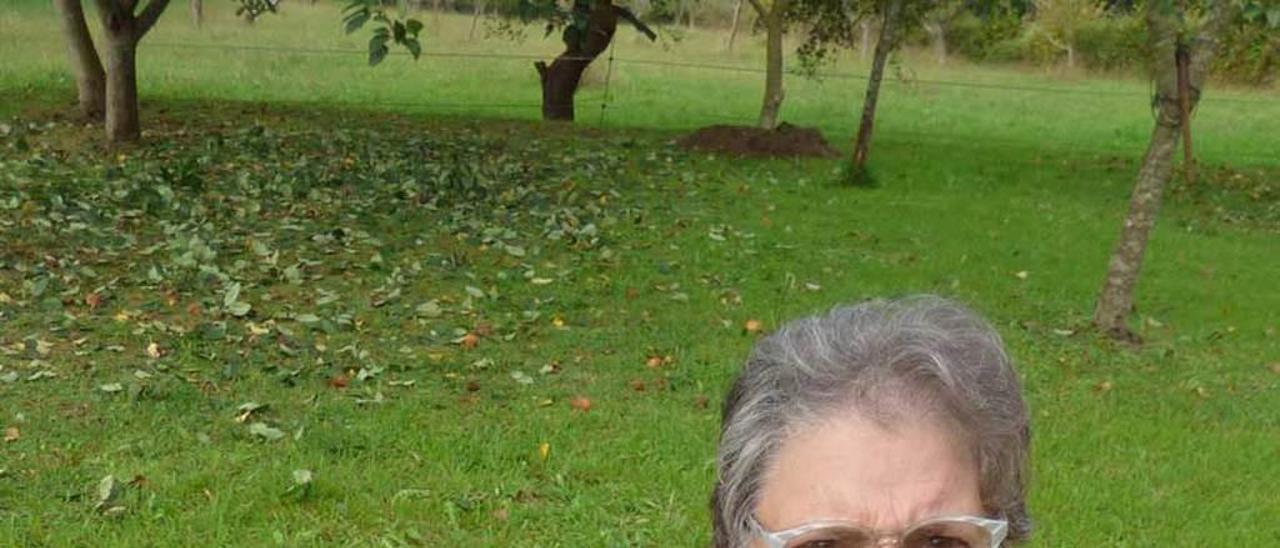 María Dolores Álvarez, recogiendo manzana en su finca de Tornón.