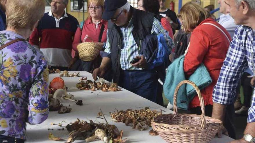 Los visitantes recorren la exposición de productos de otoño.