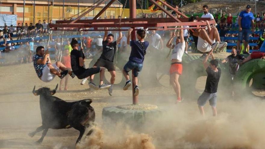 Imagen de la suelta de vaquillas del pasado 27 de julio en Pinoso.