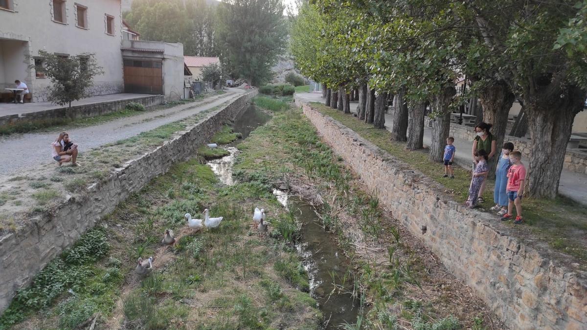 Tanto los niños del pueblo como los visitantes quedan maravillados al ver los animales en el cauce.