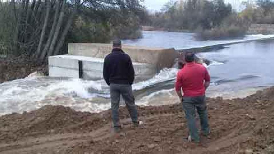 La defensa del Tera en Camarzana &quot;estrena&quot; las aguas del río, en la mañana de ayer.