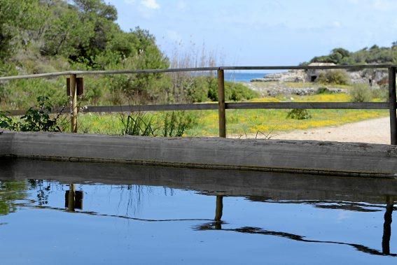 Der Naturpark Mondragó gehört zu den schönsten Ecken der Insel. Ein Besuch, jetzt, wo es noch nicht so voll ist.