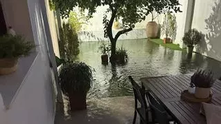 "Cada vez que llueve nuestras casas se inundan de aguas fecales por unas obras que hizo el Ayuntamiento de Vallada"