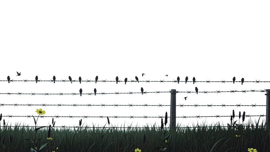 Estos son los 28 canarios muertos en los campos de exterminio nazis